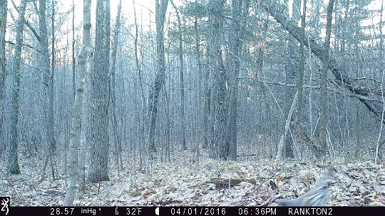 IMG_0246 2016 - Grouse #3