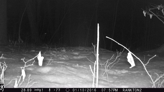 IMG_0715 2016 - Yup, that's a deer back there. Kinda spooky though