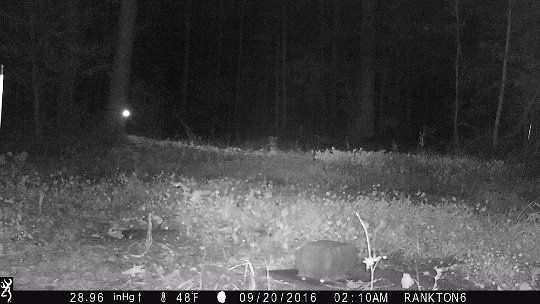 IMG_0067 2016 - Another trail cam in the Oak Meadow took a picture